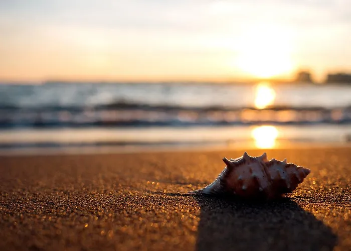 Riolavitas & 5* سيدي