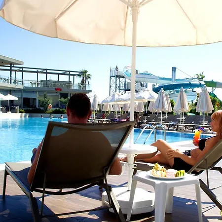 Riolavitas & 5* シダ