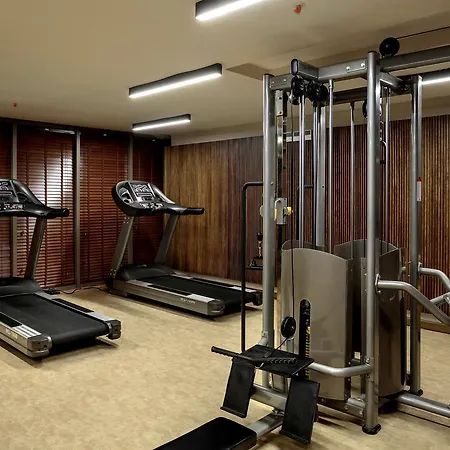 Riolavitas & 5* シダ